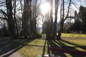 Thun TravelBlog Switzerland BineLovesLife