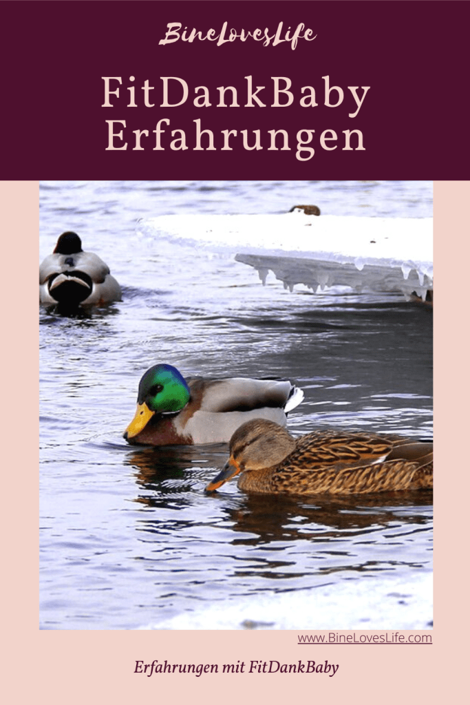 Fitdankbaby Erfahrungen BineLovesLife