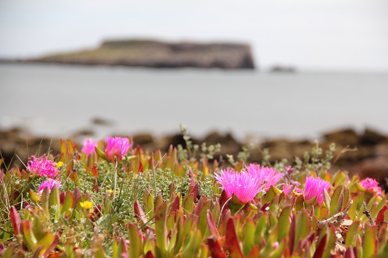 Eins-plus-eins-plus-eins-Strand-BineLovesLife