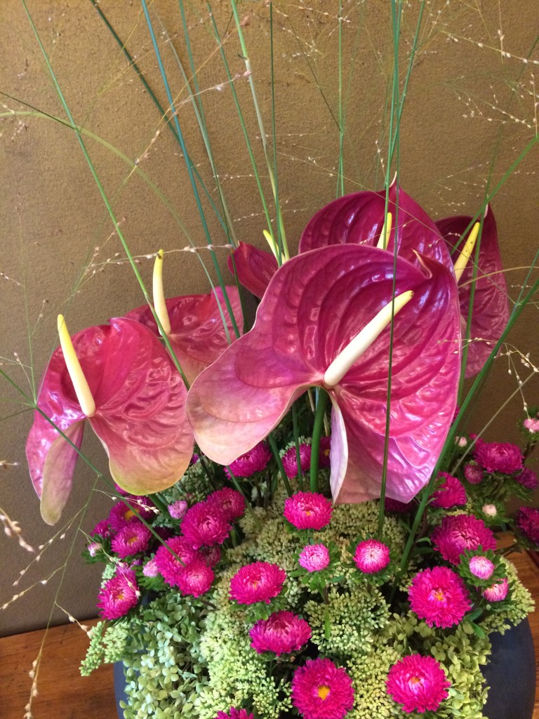 Songmagic-BineLovesLife