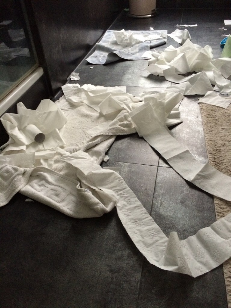 Strafen BineLovesLife Vertrauen Zusammensein