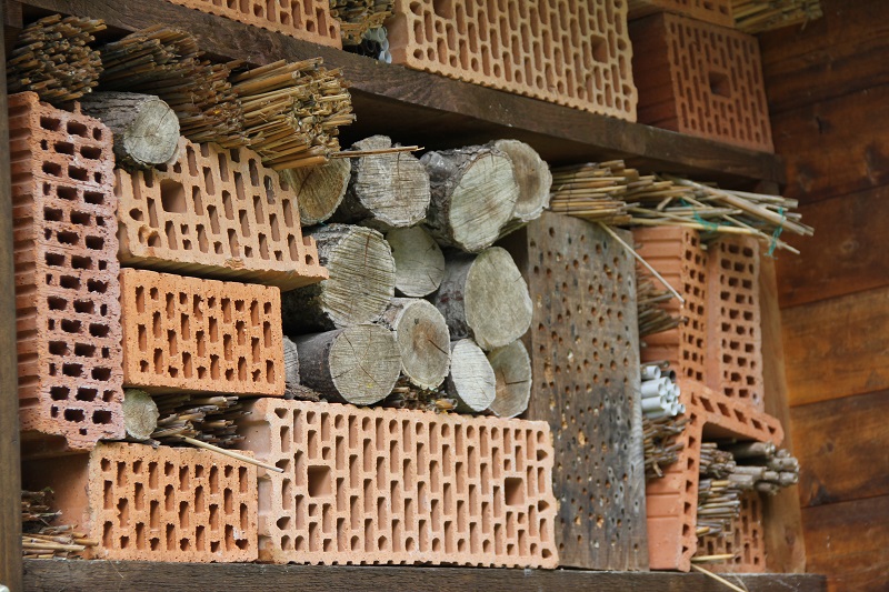 Zoo-oder-Tierpark-BineLovesLife-Bienenhotel