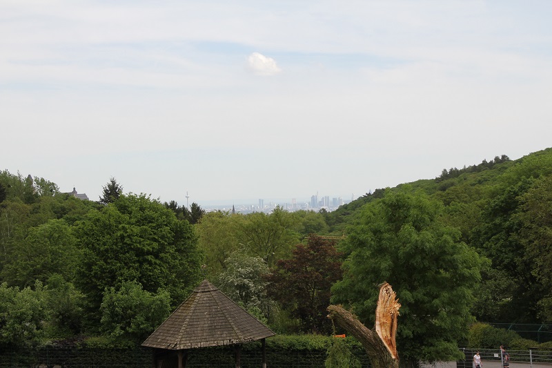 Zoo-oder-Tierpark-BineLovesLife-SkylineFFM