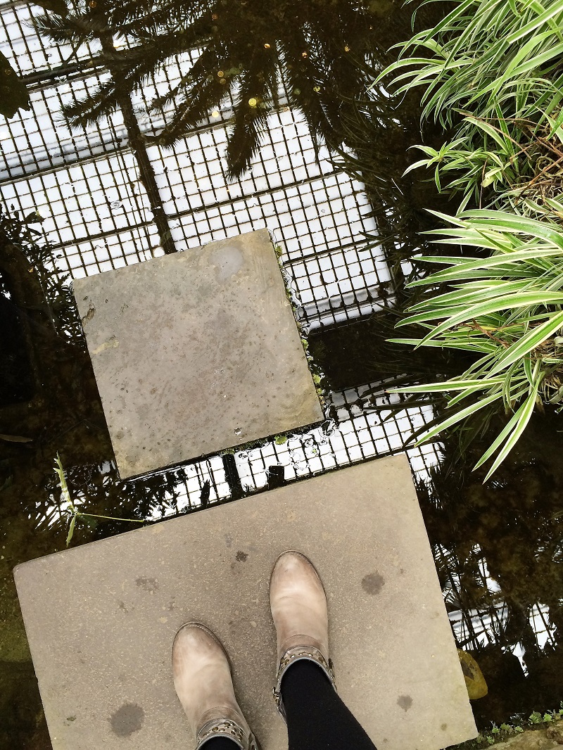 Zoo-oder-Tierpark-BineLovesLife-Tropical