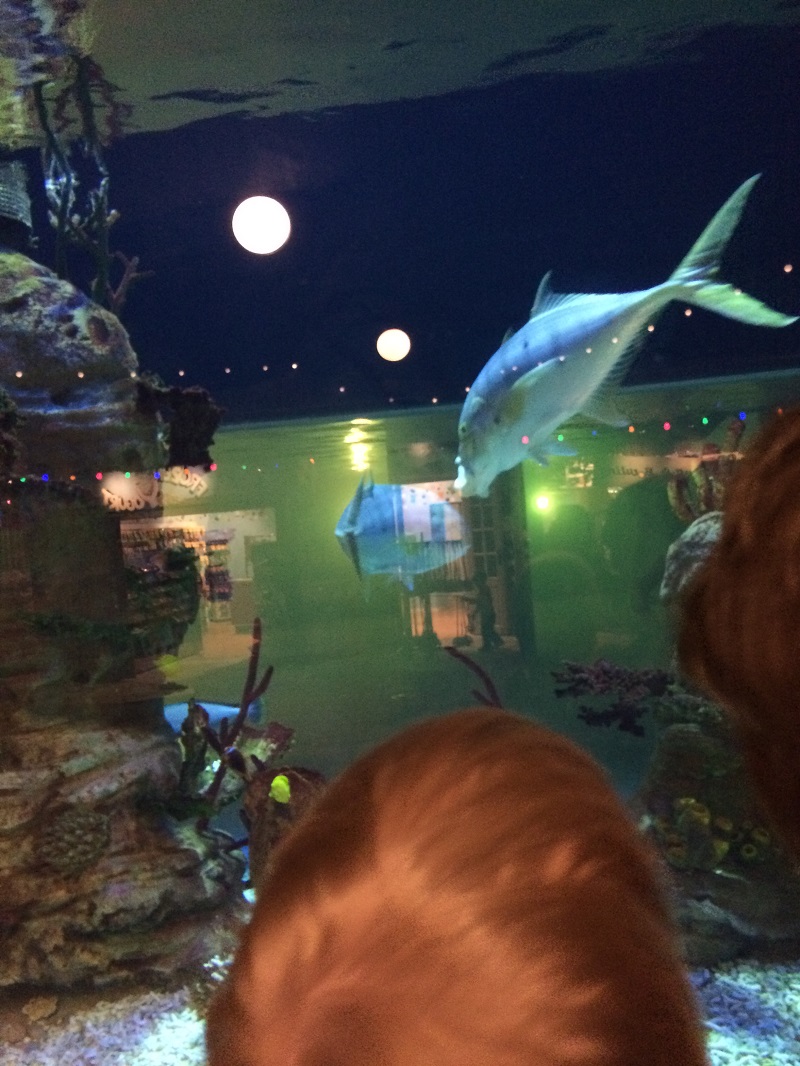 Lalandia Aquadome BineLovesLife