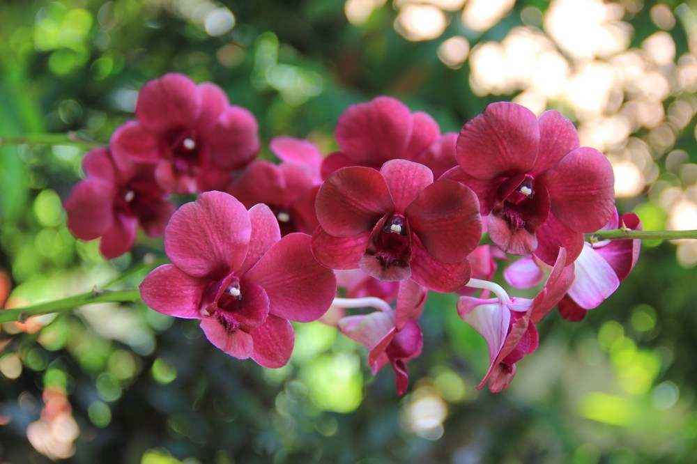 Wedding-Wednesday-Beauty-Wahre-Schönheit-BineLovesLife