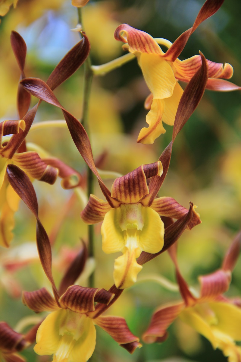 Wedding-Wednesday-BeautyFood-Schönheit-BineLovesLife