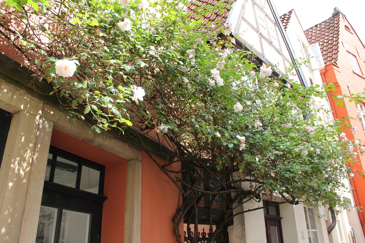 Bremen-48hours-FamilyFriday-Flowerlove-BineLovesLife