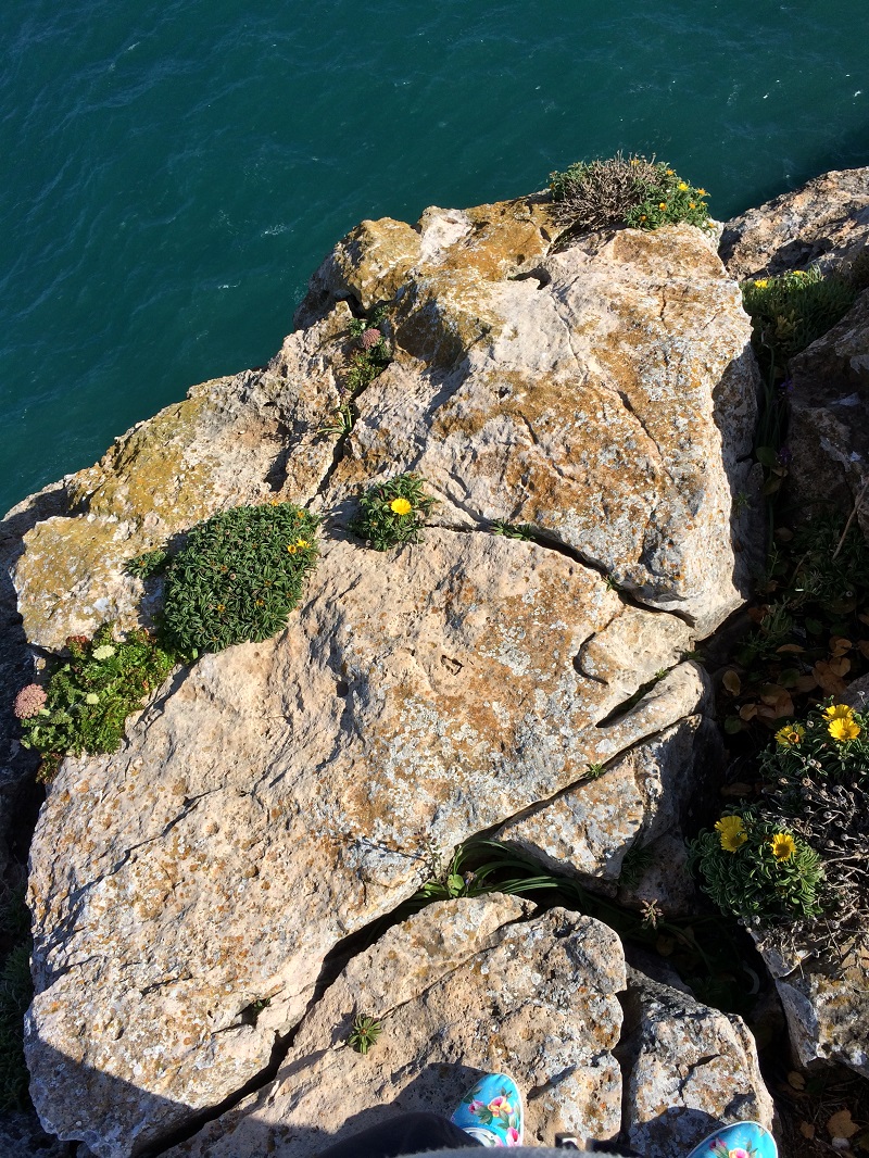 FamilyFun-BineLovesLife-raus-in-die-natur FamilyFun-BineLovesLife-raus-in-die-natur