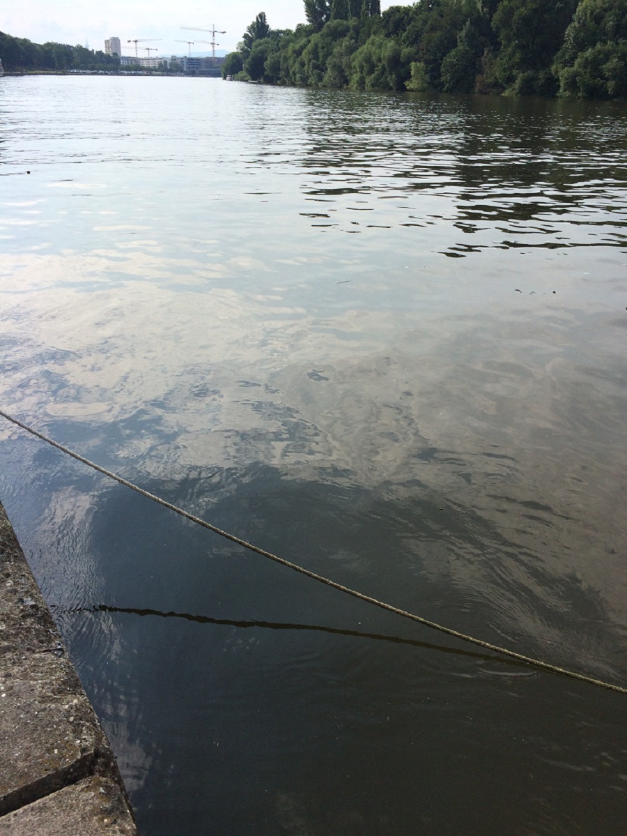 fahrradausflug-am-main