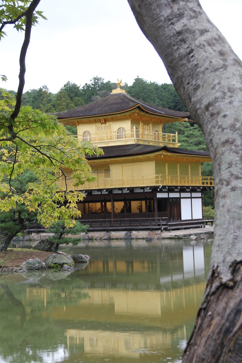 Kinkaku-ji 2016 Kyoto Japan BineLovesLife
