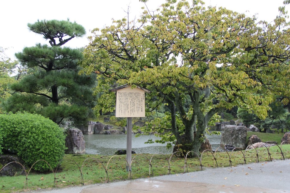 Nijo-Jo 2016 Kyoto Park BineLovesLife