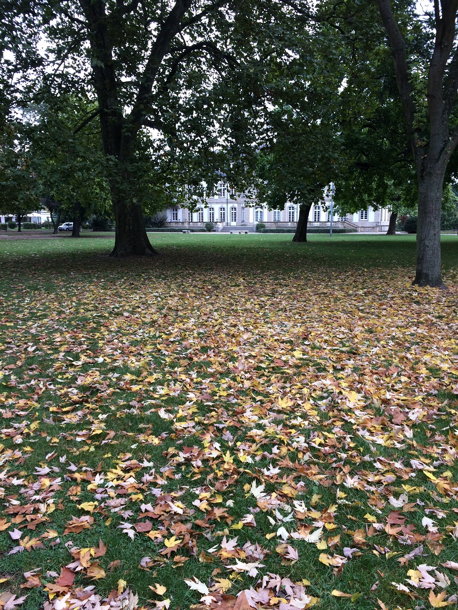 Wedding Day Beautiful Moments BineLovesLife