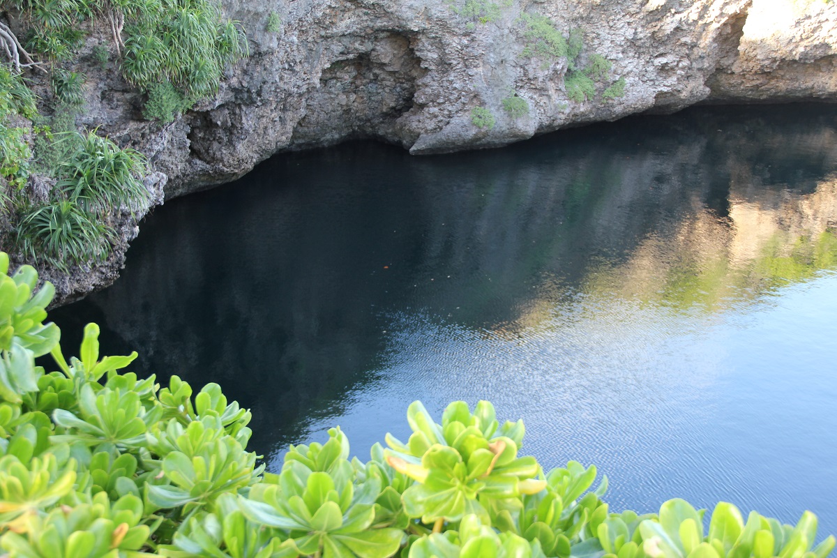 Dragon Eye Deep Water Miyakojima Japan BineLovesLife