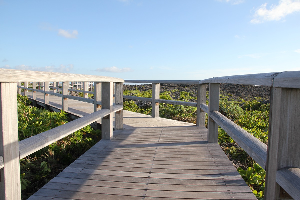 Dragon Walk Miyakojima Japan Honeymoon BineLovesLife