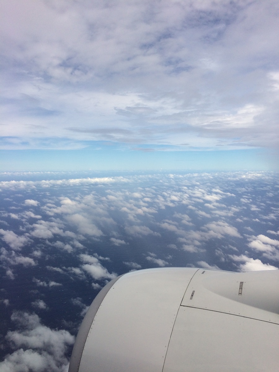 ishigaki-view-from-above-bineloveslife