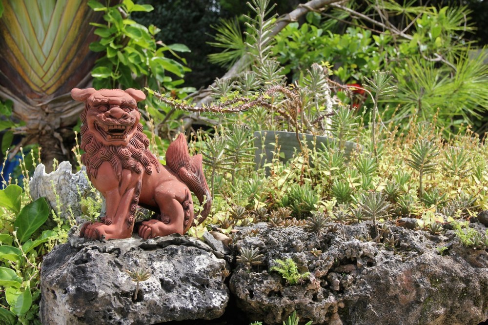 taketomi-island-ishigaki-dragon-bineloveslife