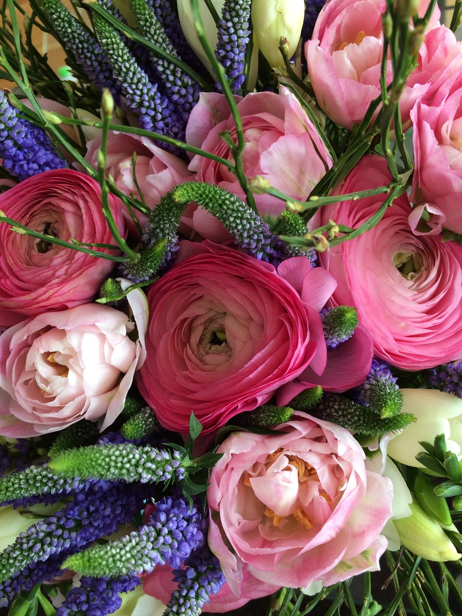 Klicks des Monats April BineLovesLife