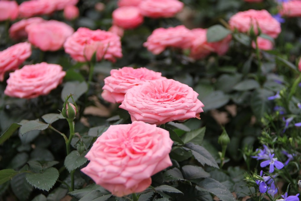 IGA Berlin Hellersdorf TravelTuesday BineLovesLife