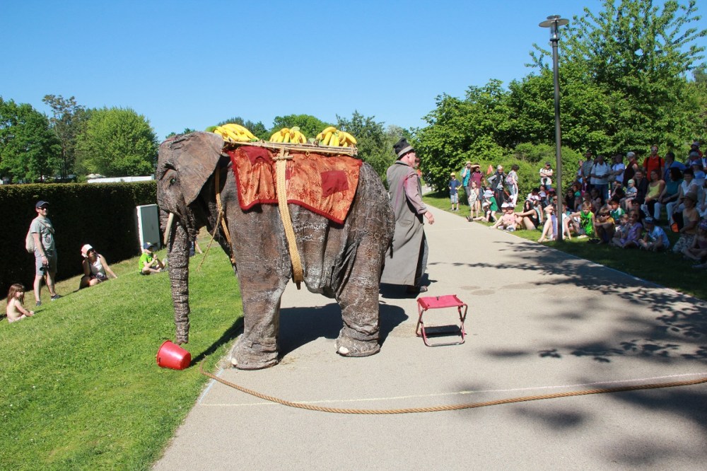 IGA Berlin Unterhaltung BineLovesLife