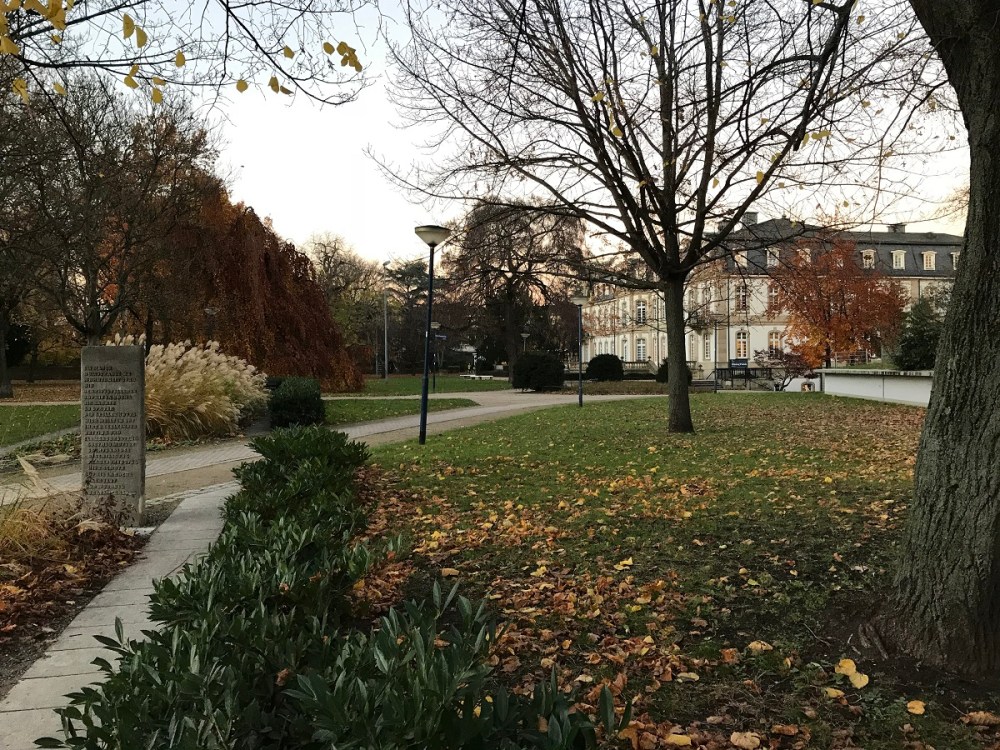 Wehenförderer und andere Mythen MommyMonday BineLovesLife