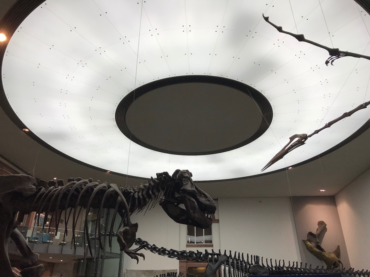 Dinosaurier Wochenende BineLovesLife