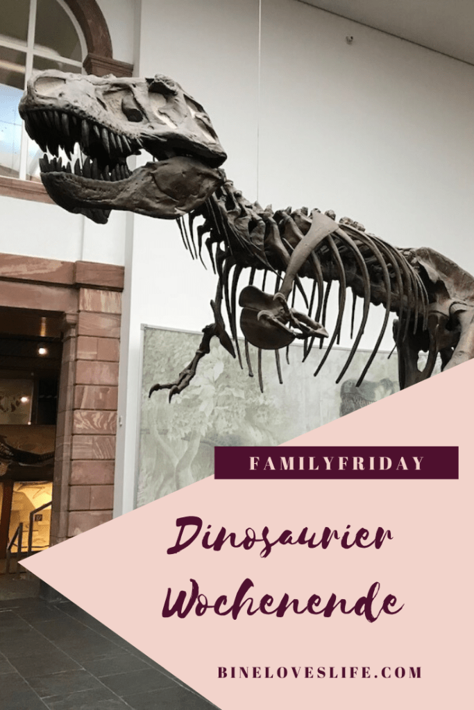 Dinosaurier Wochenende BineLovesLife