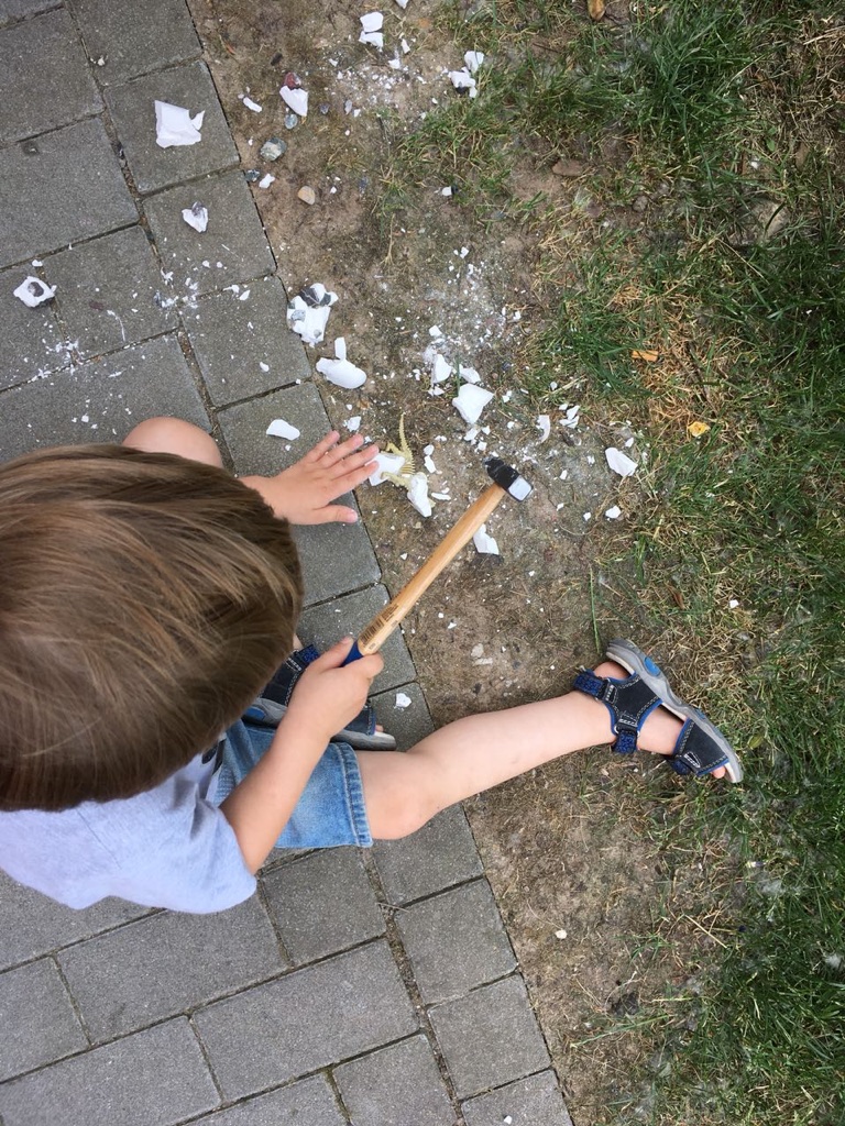 Geburtstag Dinosaurier Skelett BineLovesLife