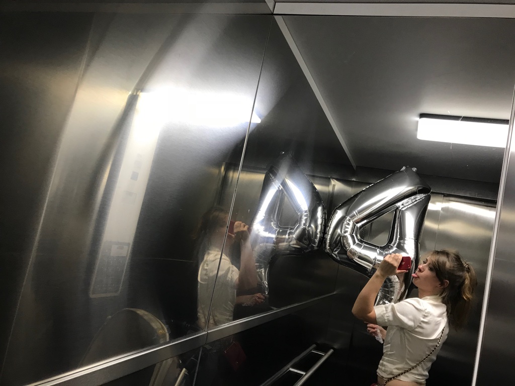 Geburtstag Dinosaurier Stil BineLovesLife