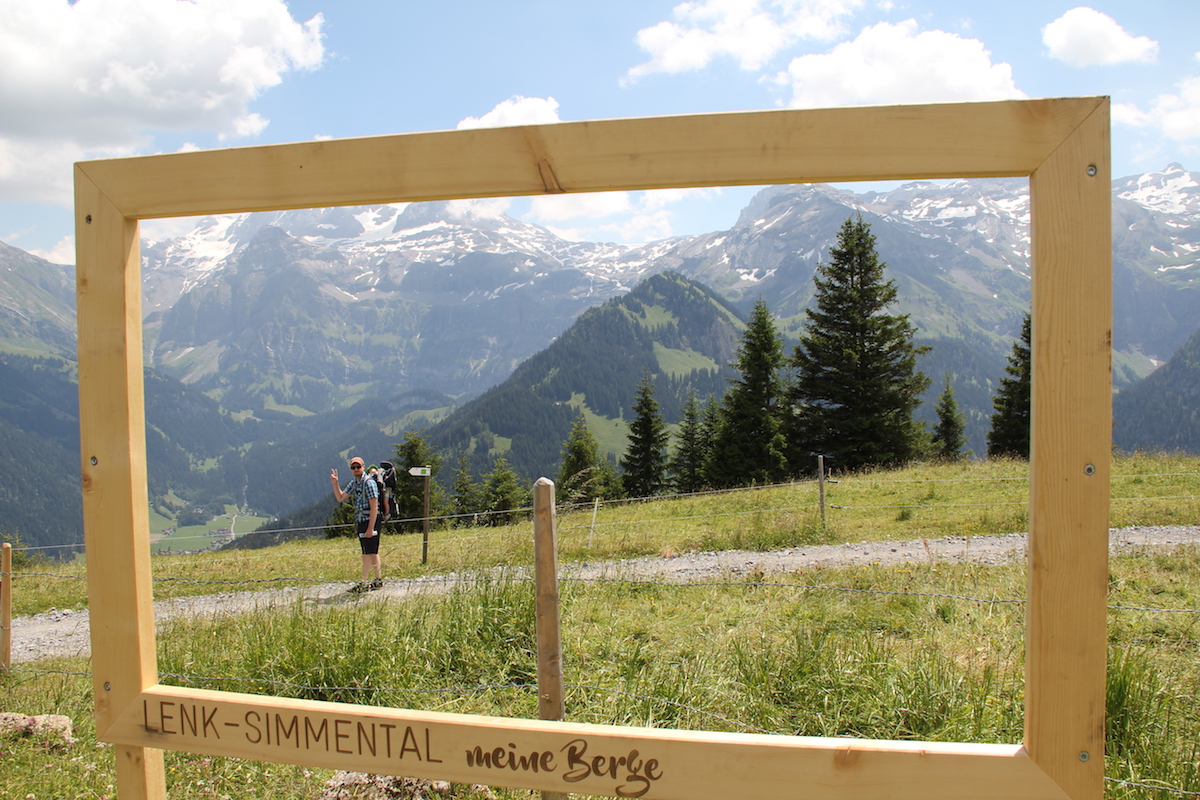 Lenk Simmental BineLovesLife