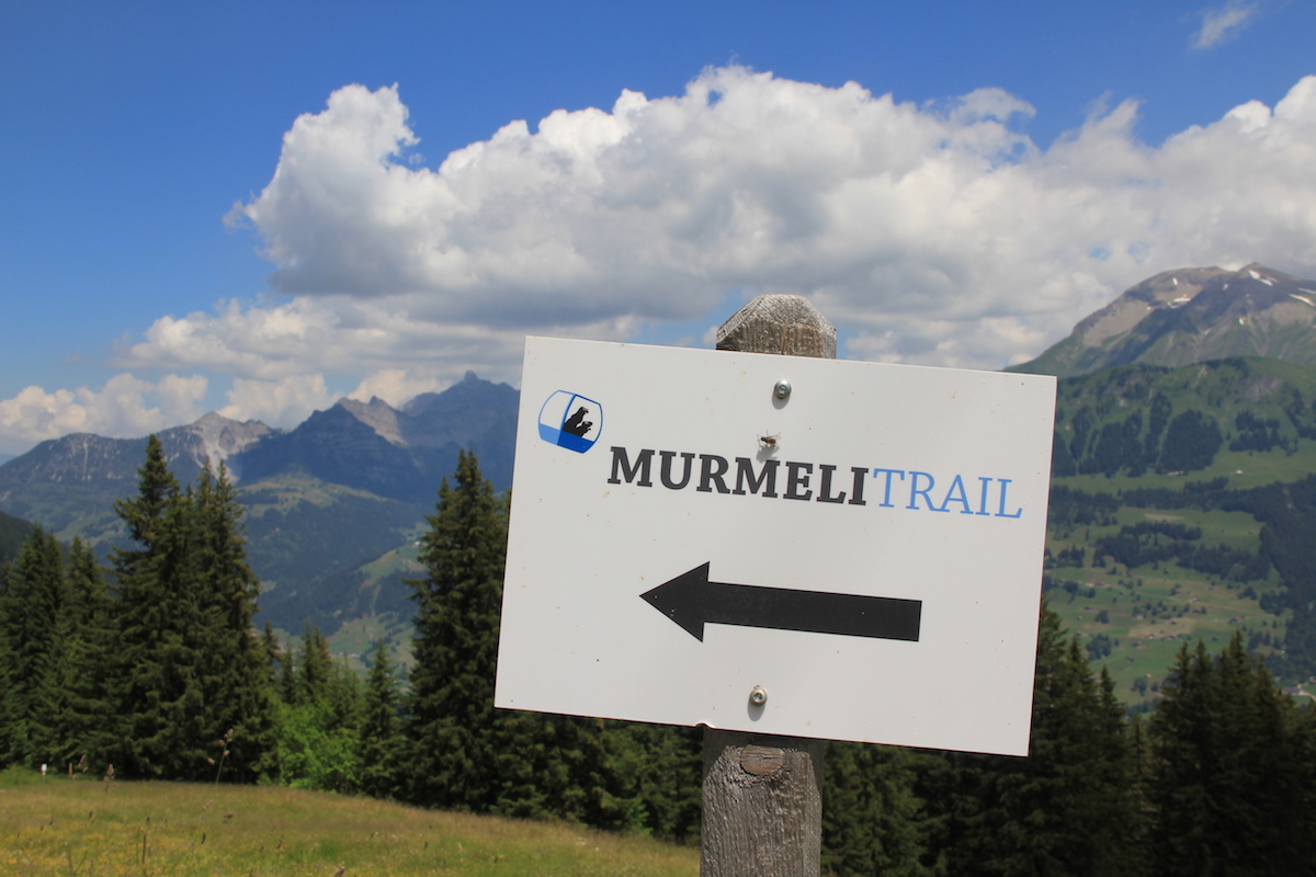 MurmeliTrail BineLovesLife