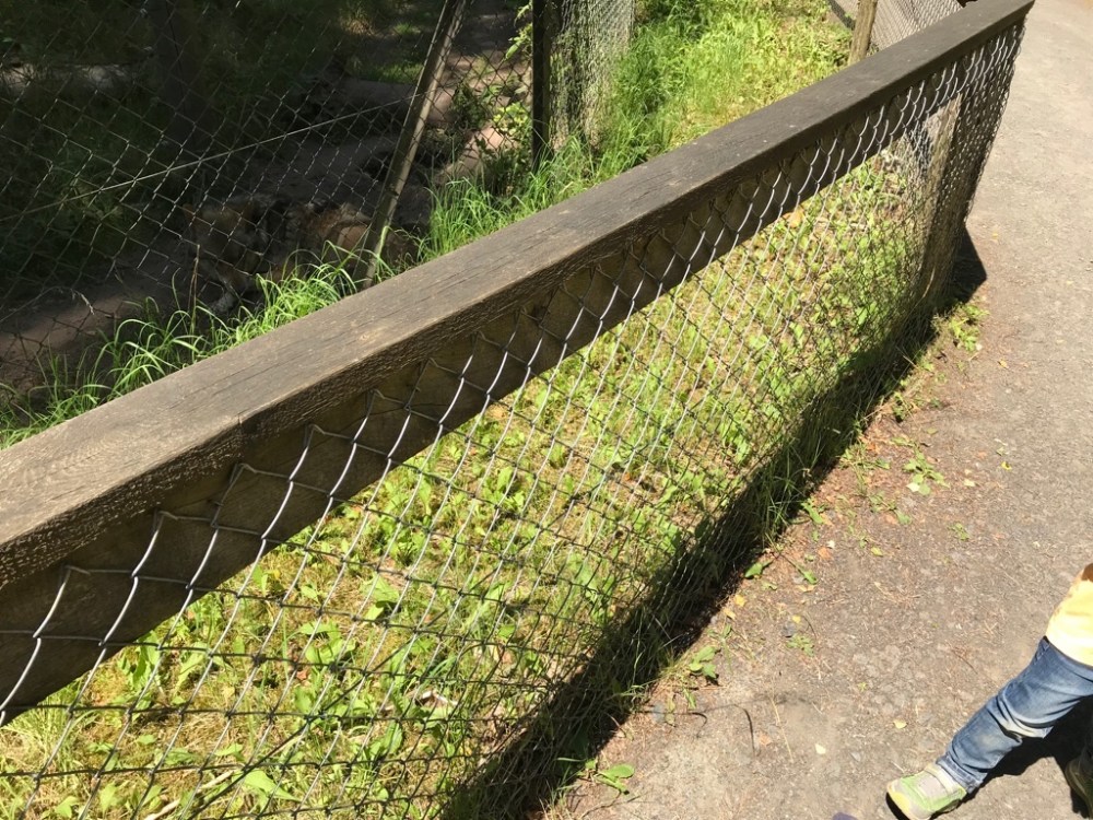 Wildpark Hanau Ausflug Regional FamilyFriday BineLovesLife