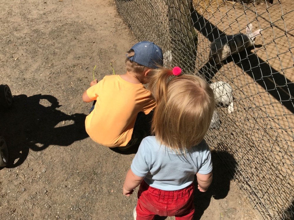 Wildpark Hanau BineLovesLife