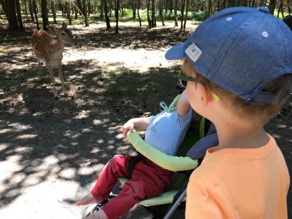 Wildpark Hanau FamilyFriday BineLovesLife