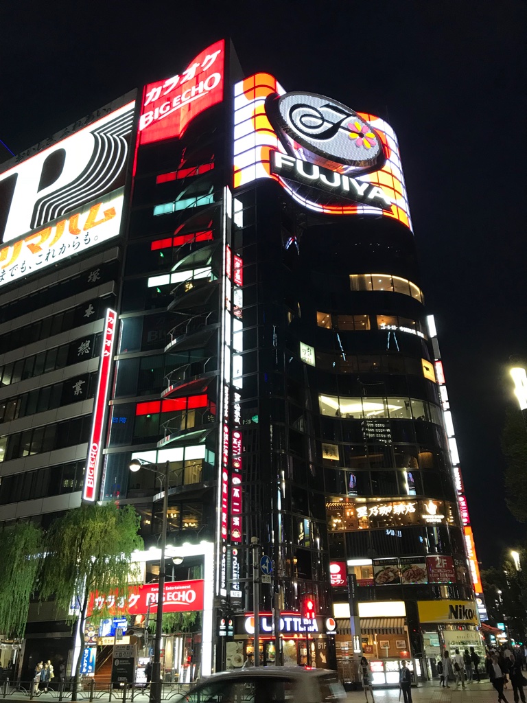 Ankunft Tokyo Ginza BineLovesLife