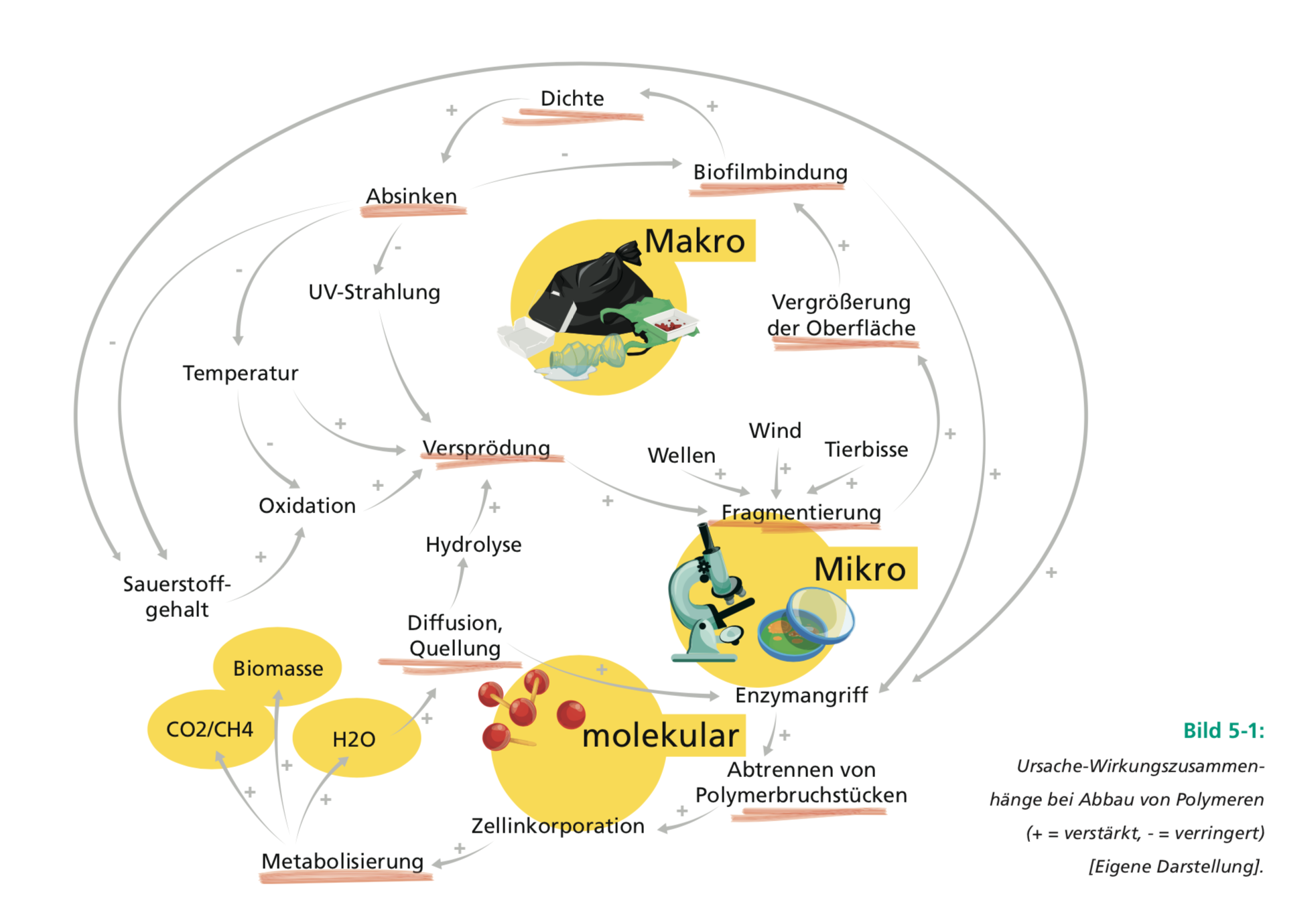 ursache wirkung mikroplastik makroplastik bineloveslife