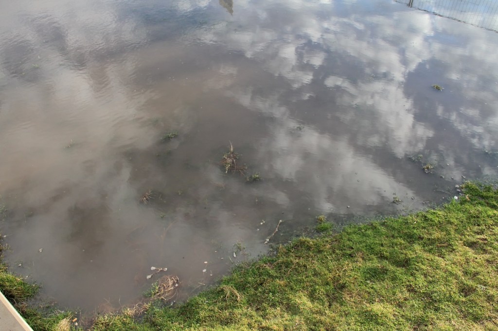 Kindergartenprobleme BineLovesLife