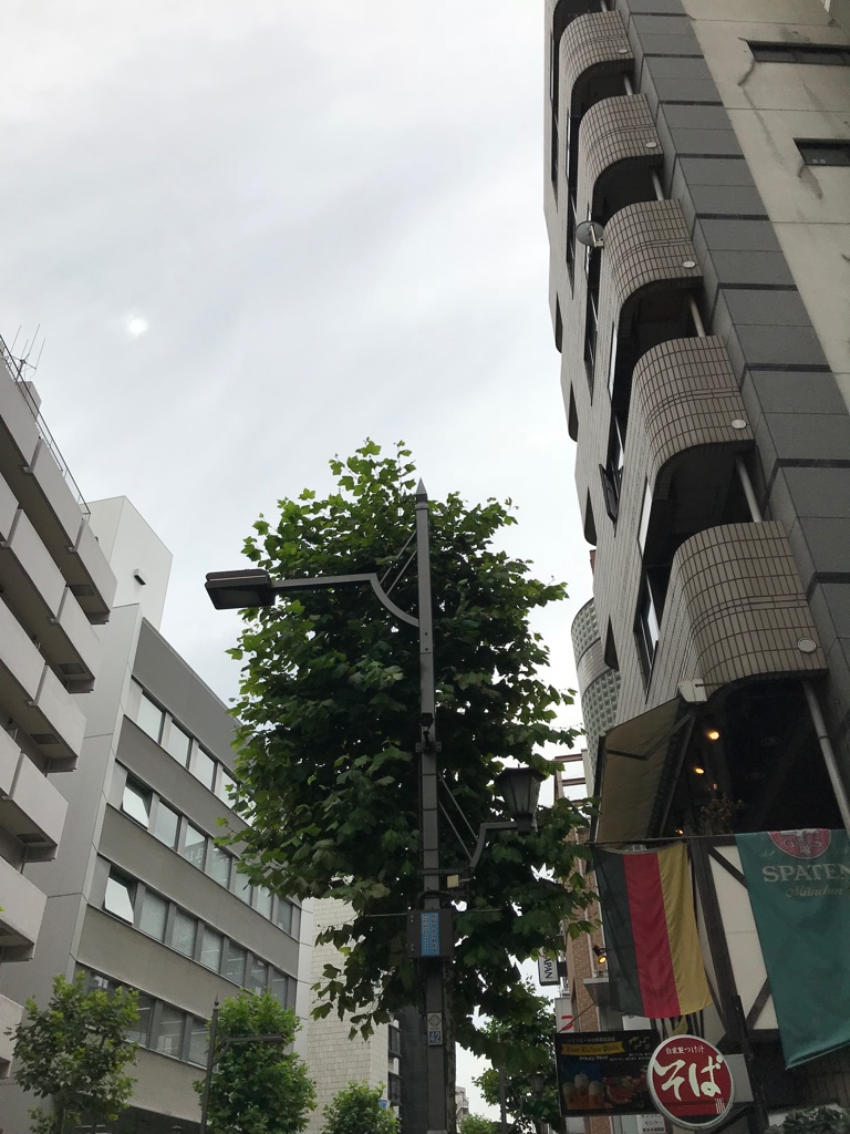 Akasaka Tokyo Kindheitserinnerung TravelTuesday BineLovesLife