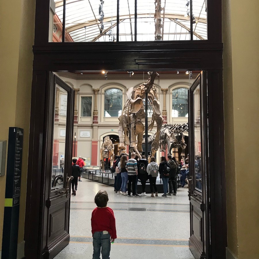 Naturkundemuseum Berlin Dinosaurier BineLovesLife