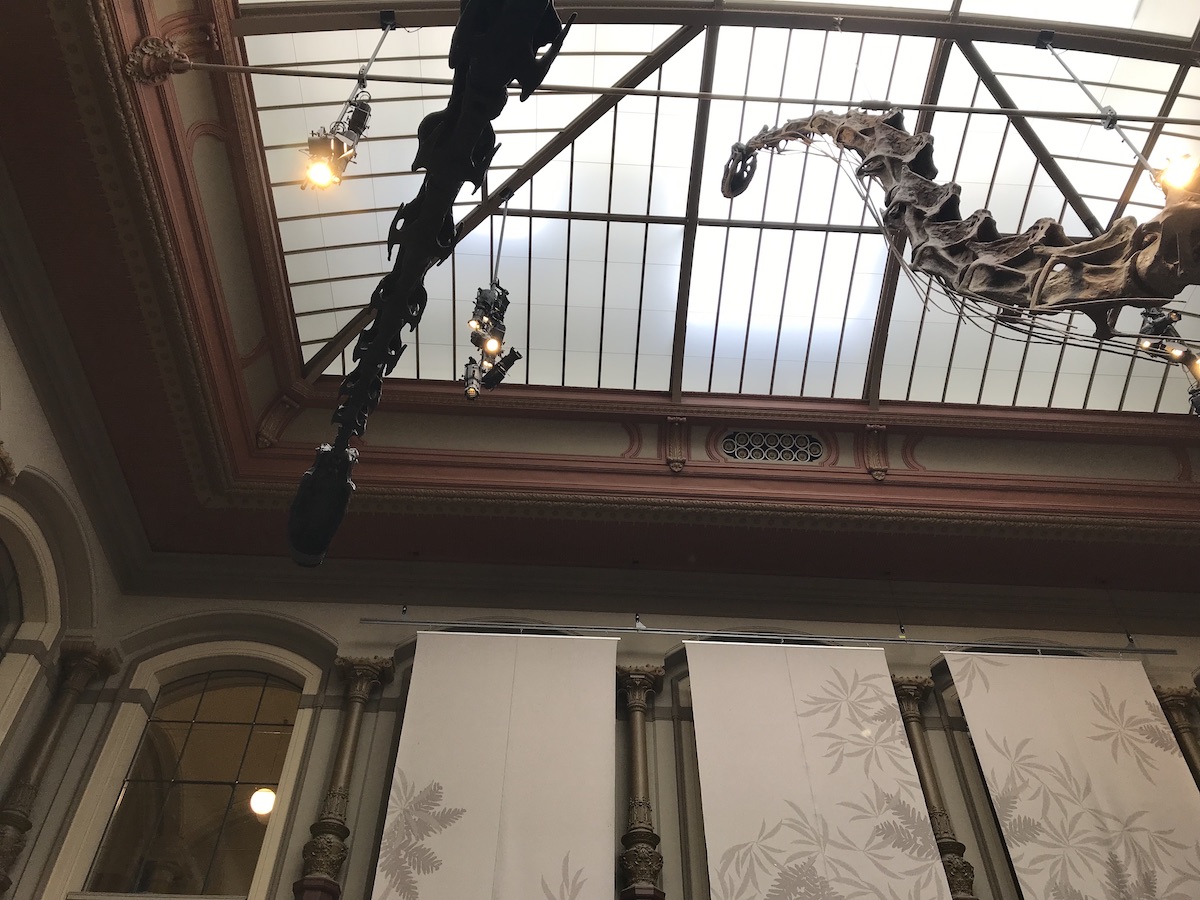 Naturkundemuseum Berlin Dinosaurier Skellet BineLovesLife