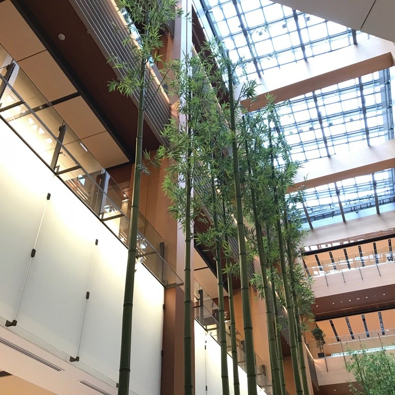 Roppongi Hills Mall Tokyo BineLovesLife