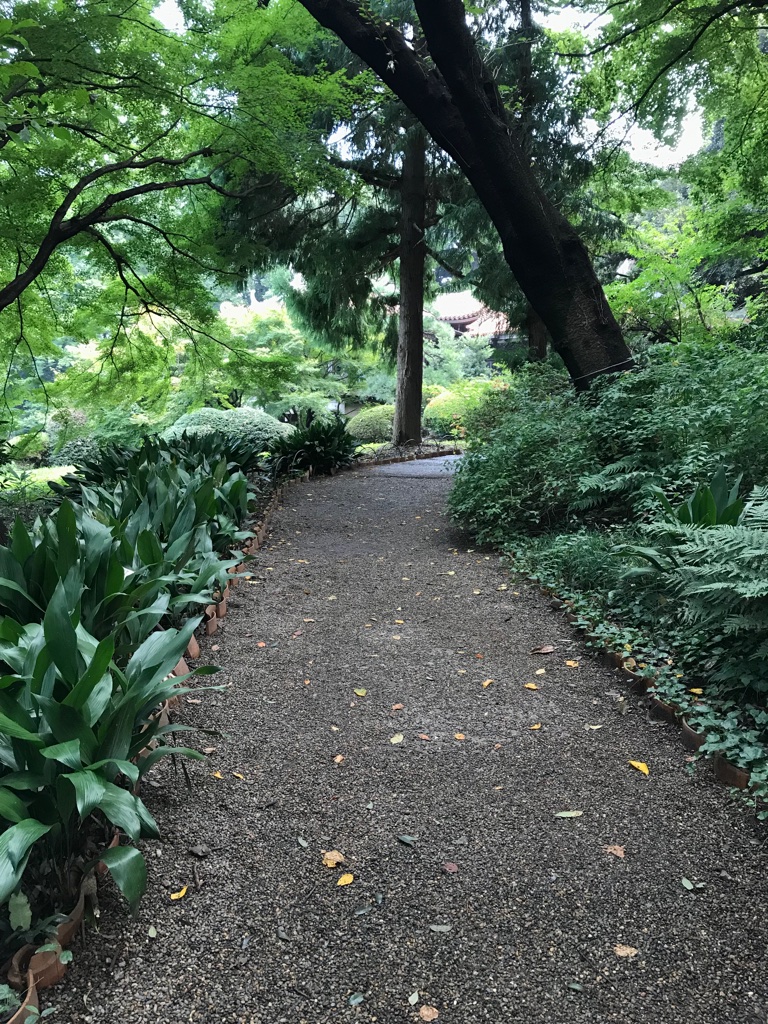 Shinjuku Gyoen BineLovesLife
