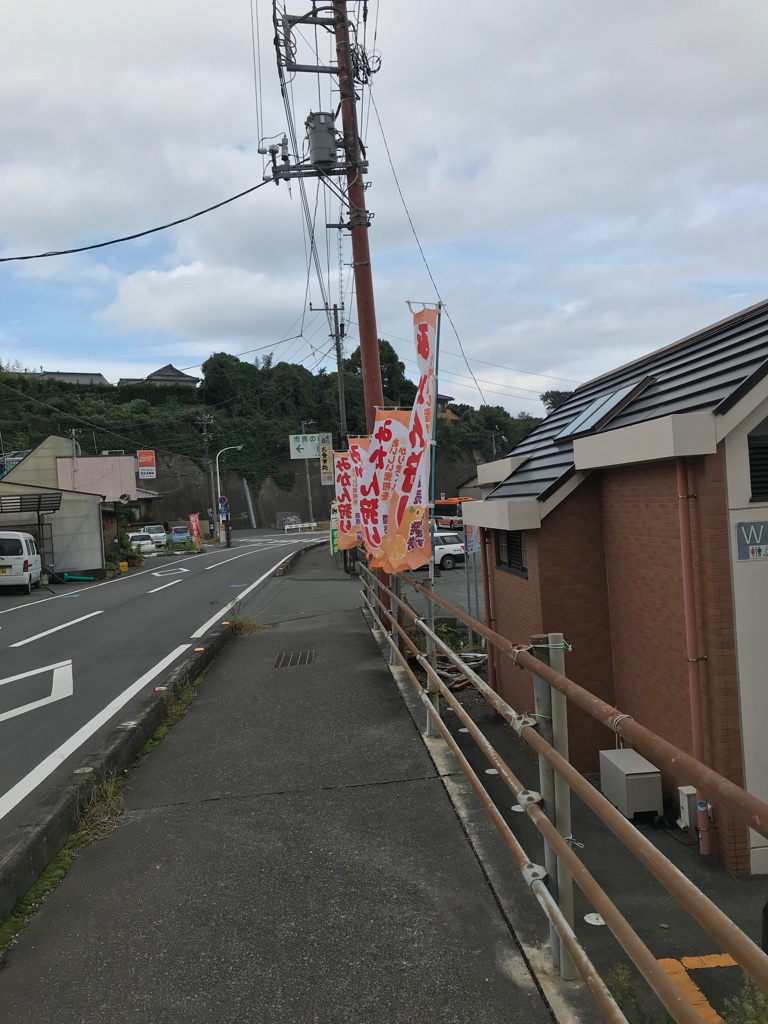 Mandarinenernte in Japan Izu TravelTuesday BineLovesLife