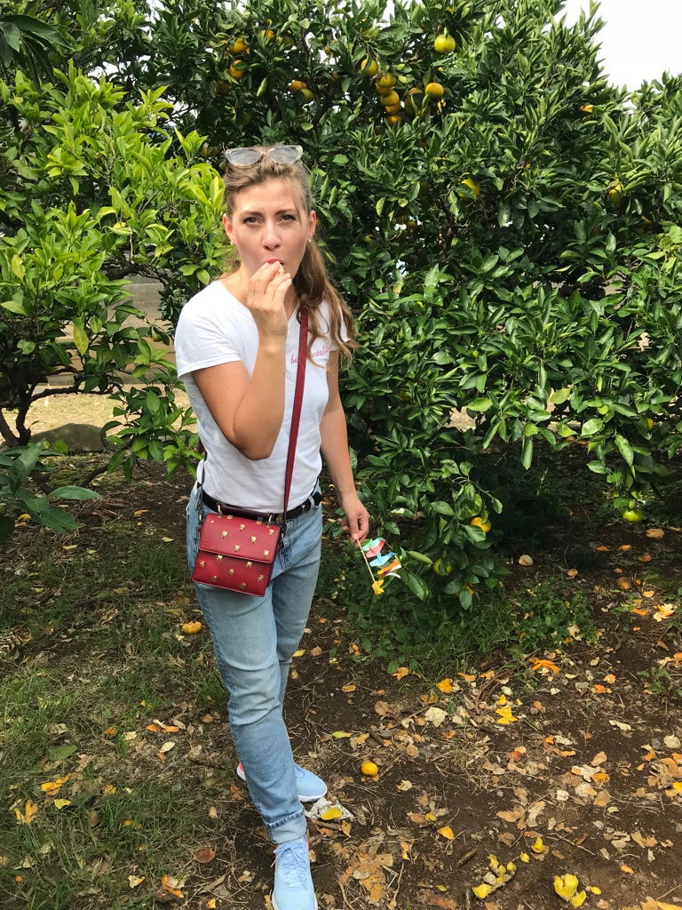 Mandarinenernte Japan TravelTuesday BineLovesLife