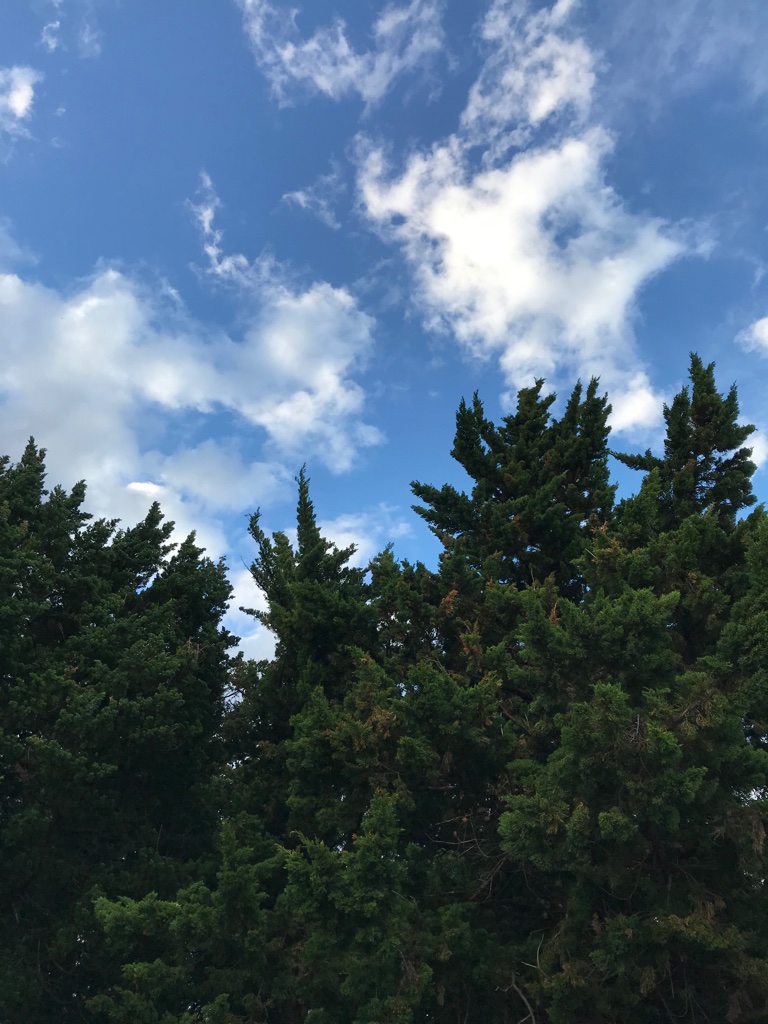 Reisen mit Kindern Japan TravelTuesday BineLovesLife