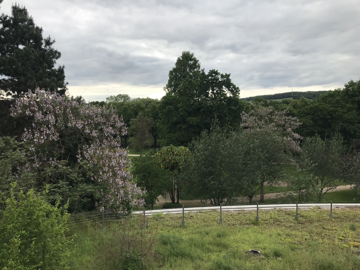 Kurpark Bad Neuenahr Ahrweiler BineLovesLife