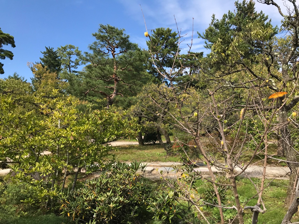 Kenroku-en BineLovesLife