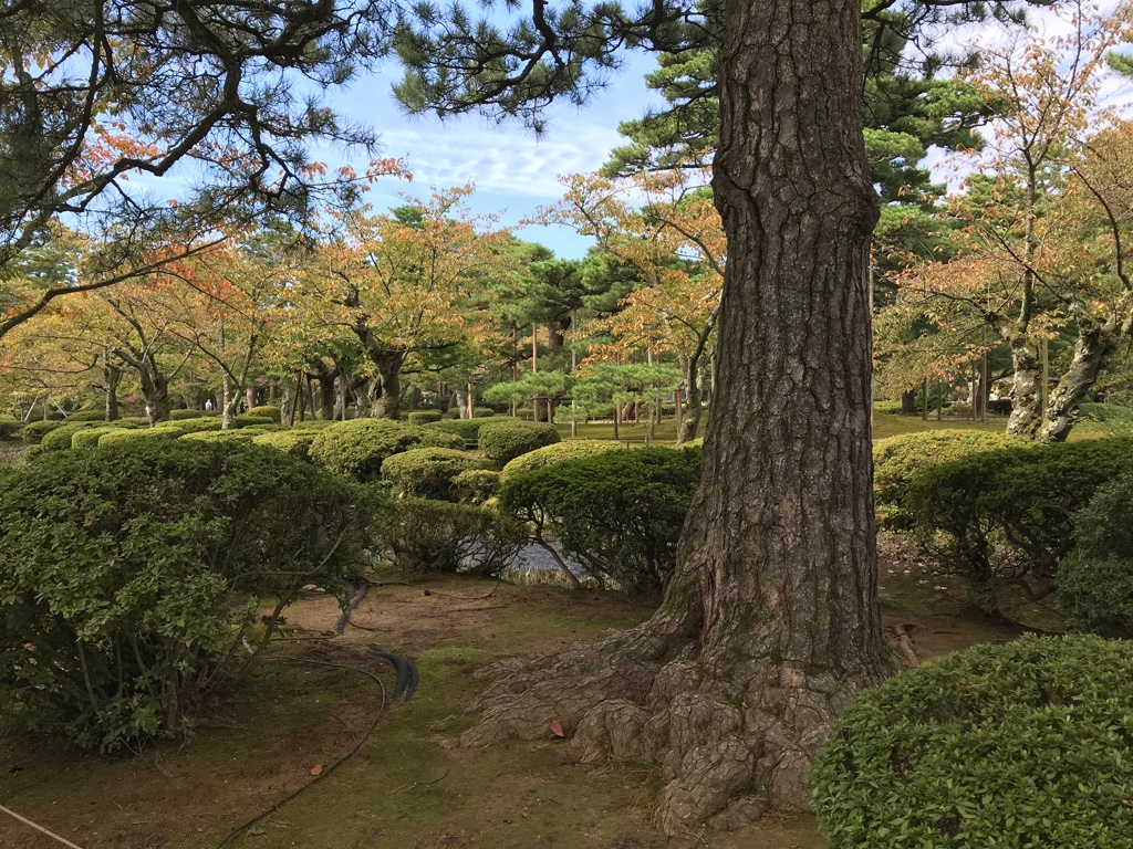 Kenroku-en TravelTuesday BineLovesLife