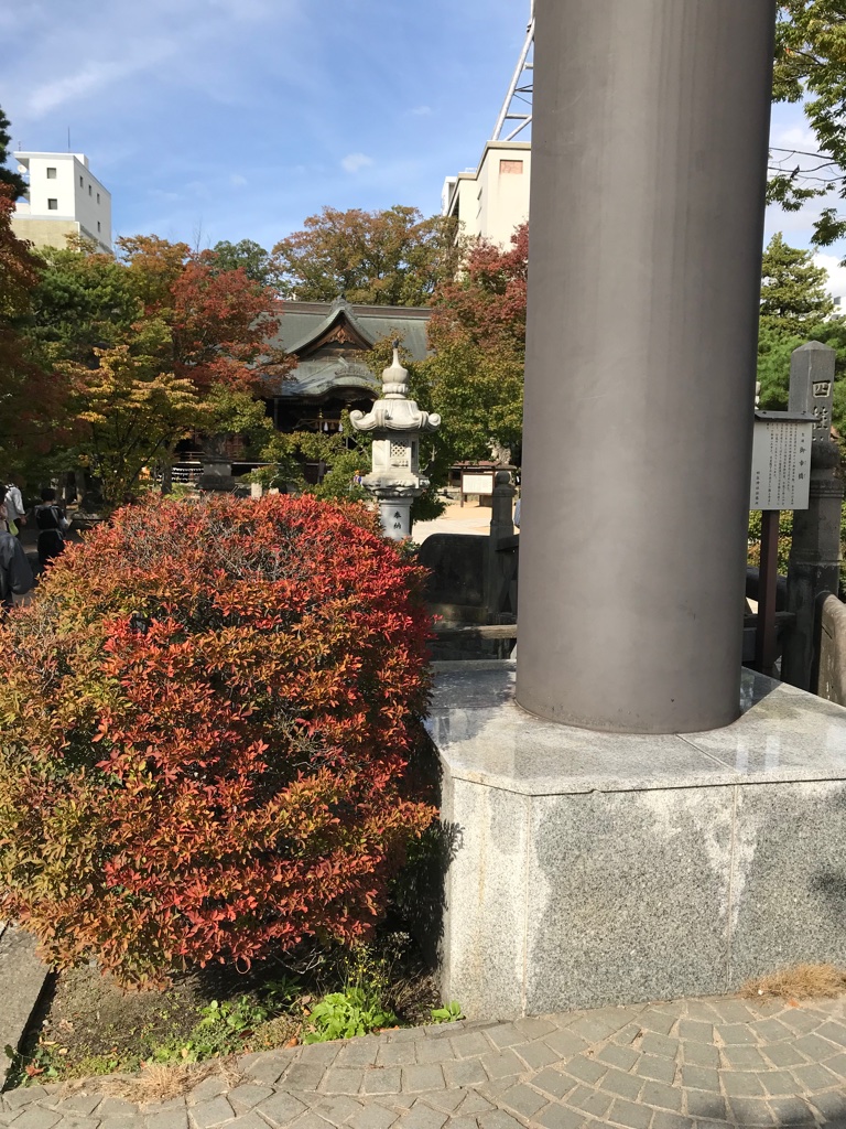 Matsumoto Downtown Temple BineLovesLife