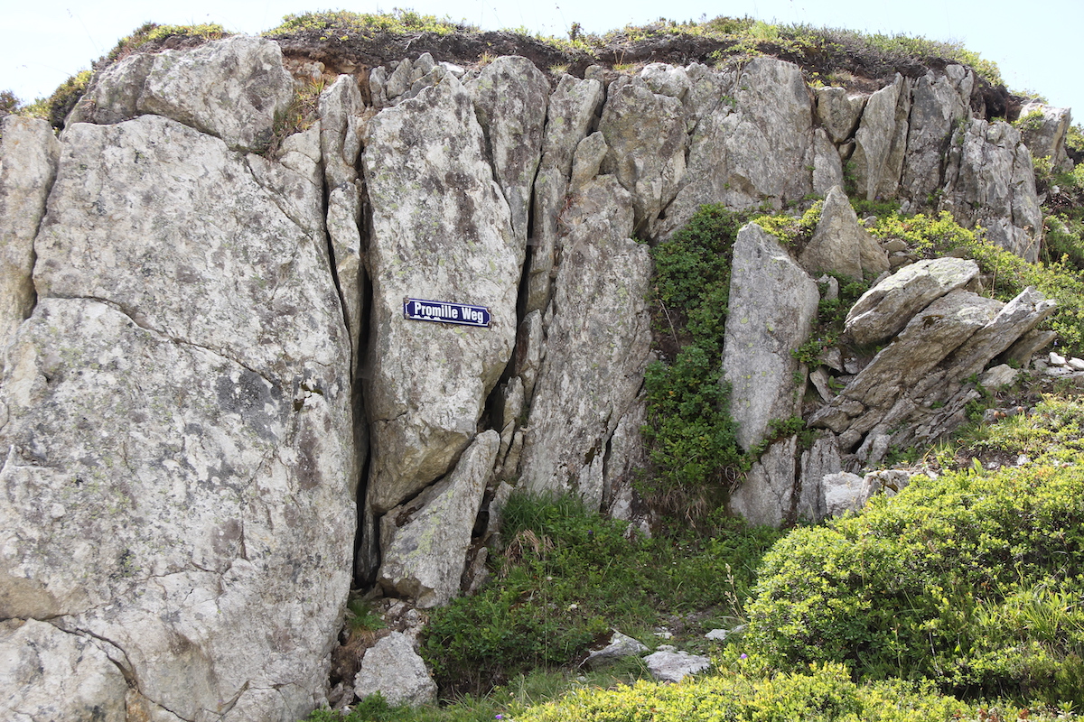 Promille Weg BineLovesLife